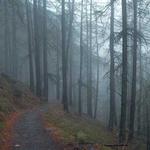 Folding Ebike Side View